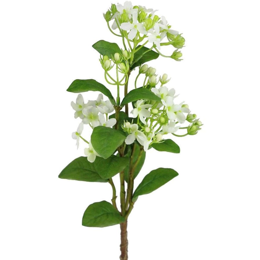 Craig Bachman Spring | Wild Mini Hydrangea Pick