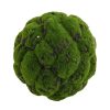 Direct Export Co. Focal Points | Artificial Moss Orb