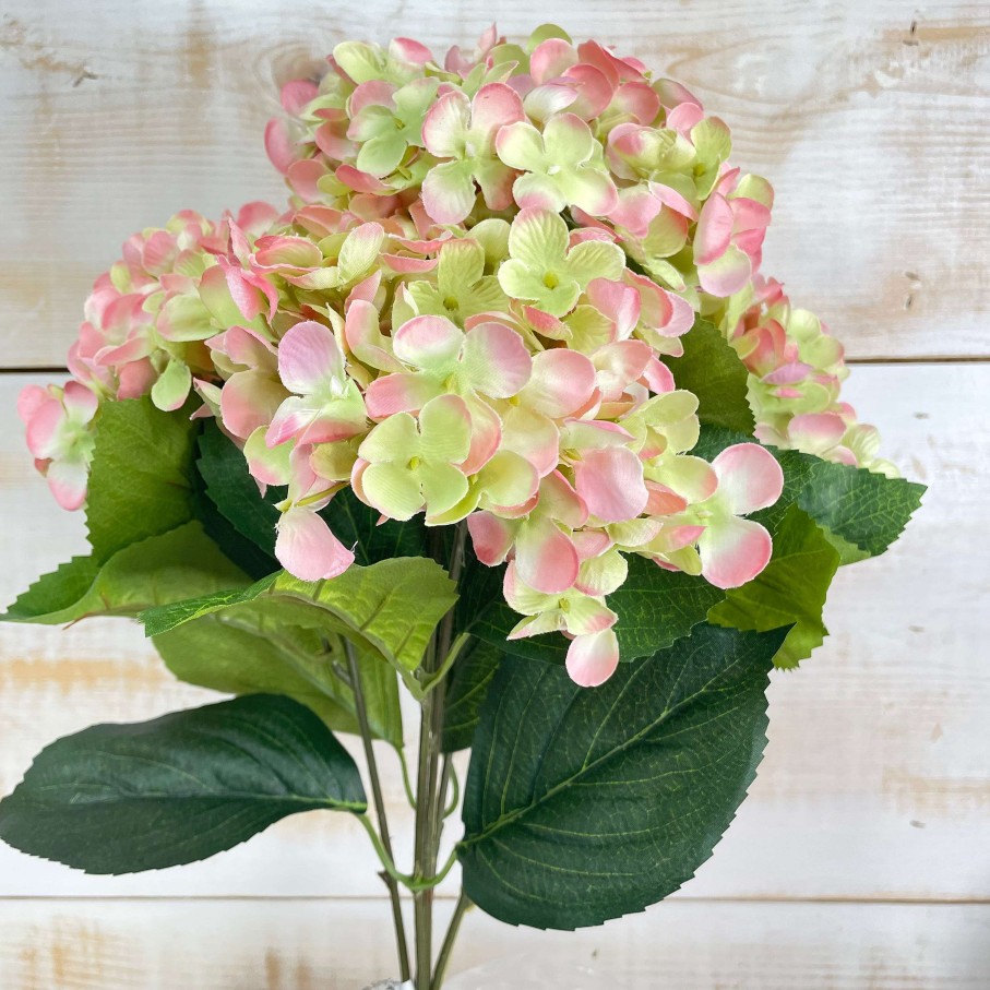 CRI Spring | Blush And Green Hydrangea Bush