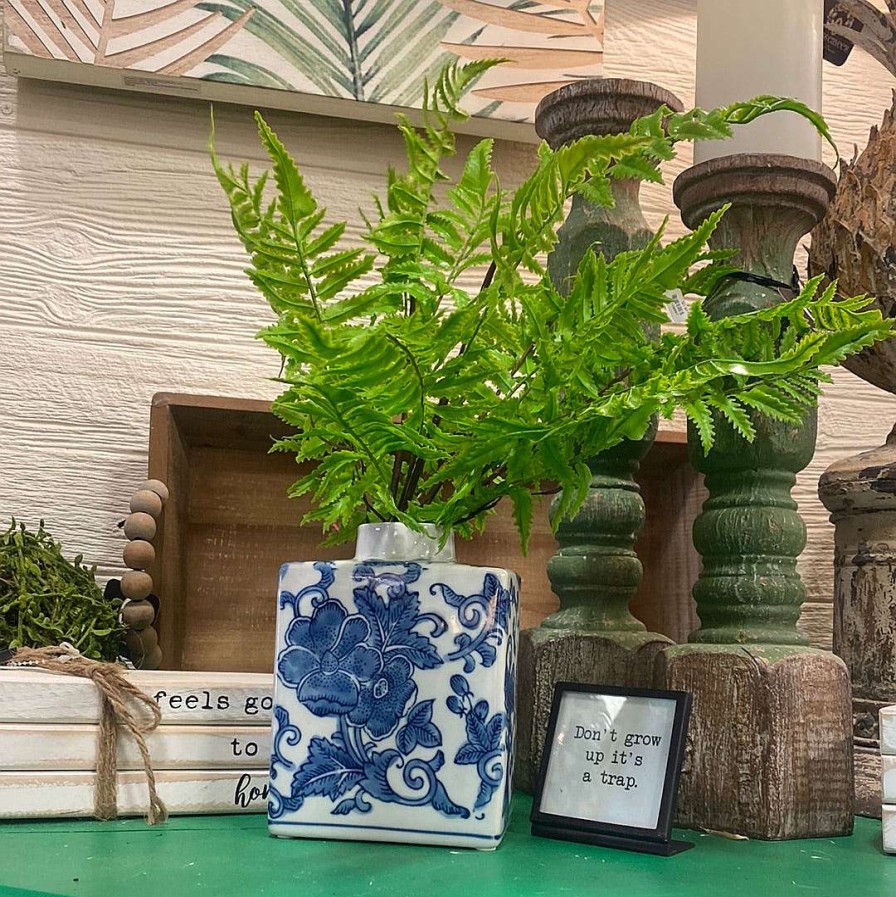 CRI Spring Picks | Medium Boston Fern