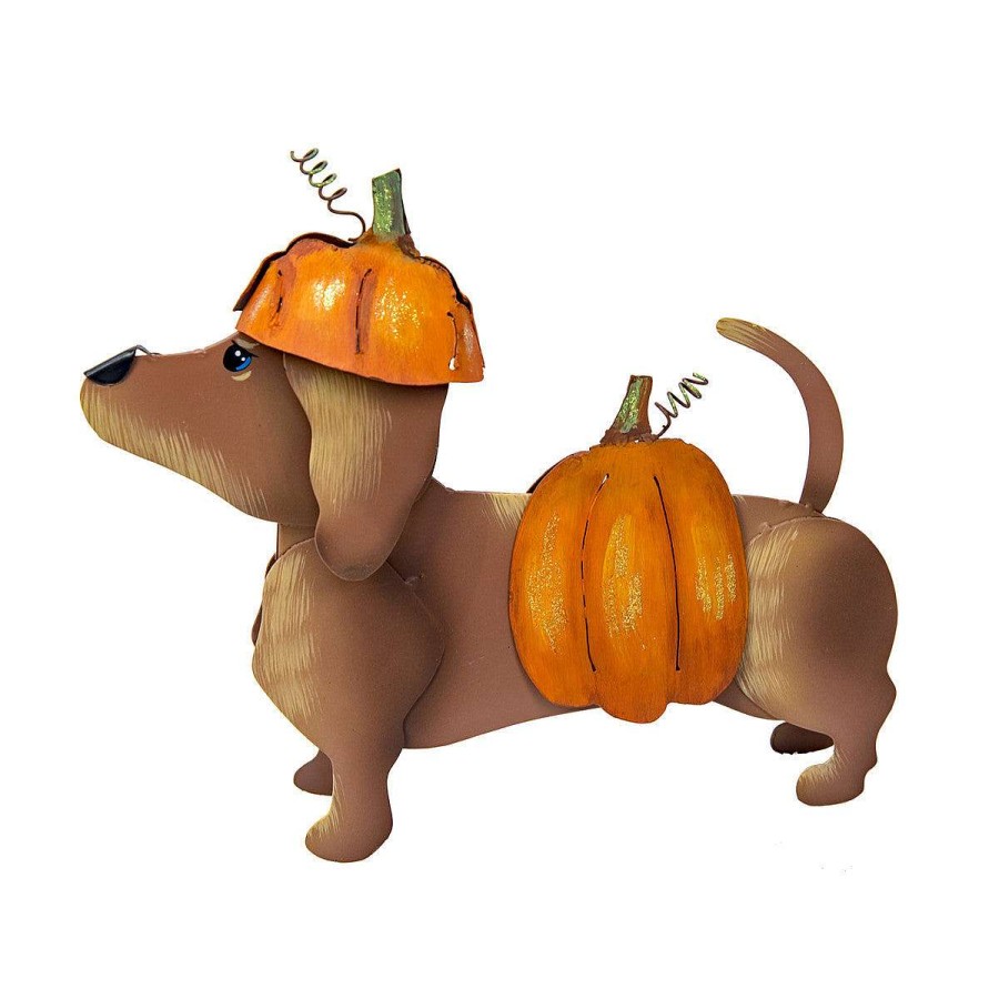 The Round Top Collection Table Decor | Dress Up Pet, Pumpkin Costume