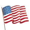 The Round Top Collection Pot Stakes | Waving American Flag