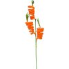 Liberty Floral Sprays | Carrot Spring Spray