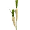 Liberty Floral Sprays | Twine Carrot Spray