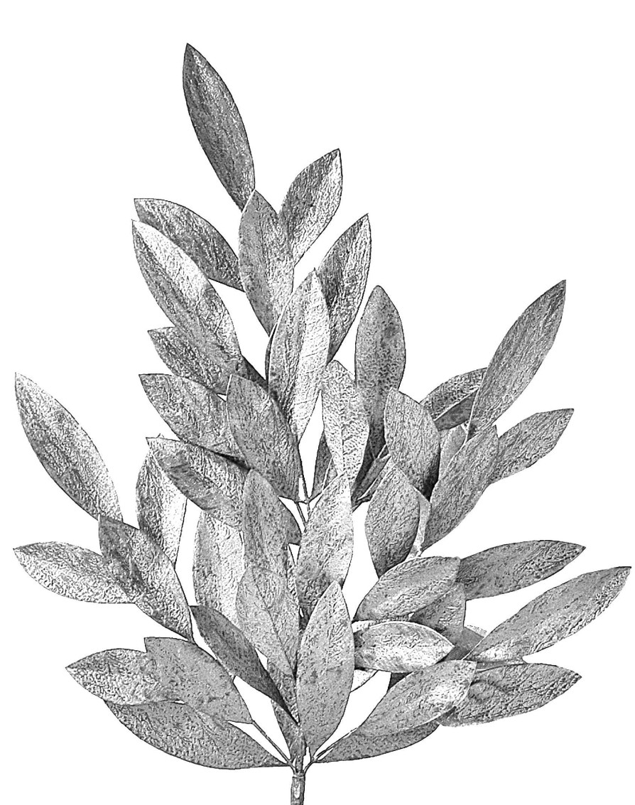 Regency Sprays | Silver Clustered Bay Leaf Spray