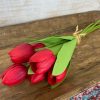 CRI Floral | Tulip Bundle, Red