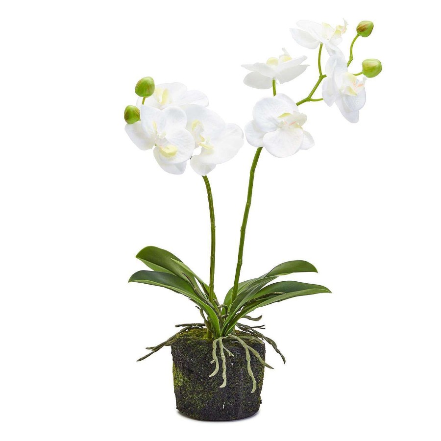 Two's Company Faux Plants | White Butterfly Orchid