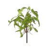 Regency Faux Plants | Feather Fern Plant