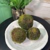 CRI Table Decor | Moss Orb 6"