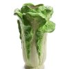 RAZ Decorative Containers | Green Cabbage Vase, 12.5"