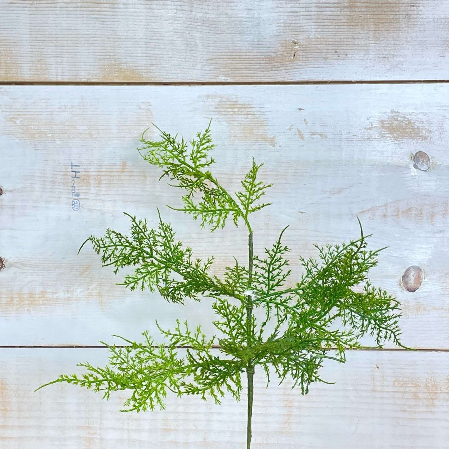 CRI Spring Sprays | Asparagus Fern Spray