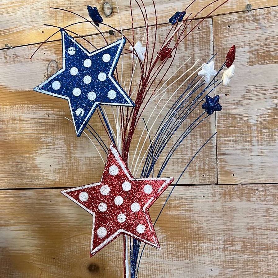 Liberty Floral Floral | Patriotic Polkadot Star Spray