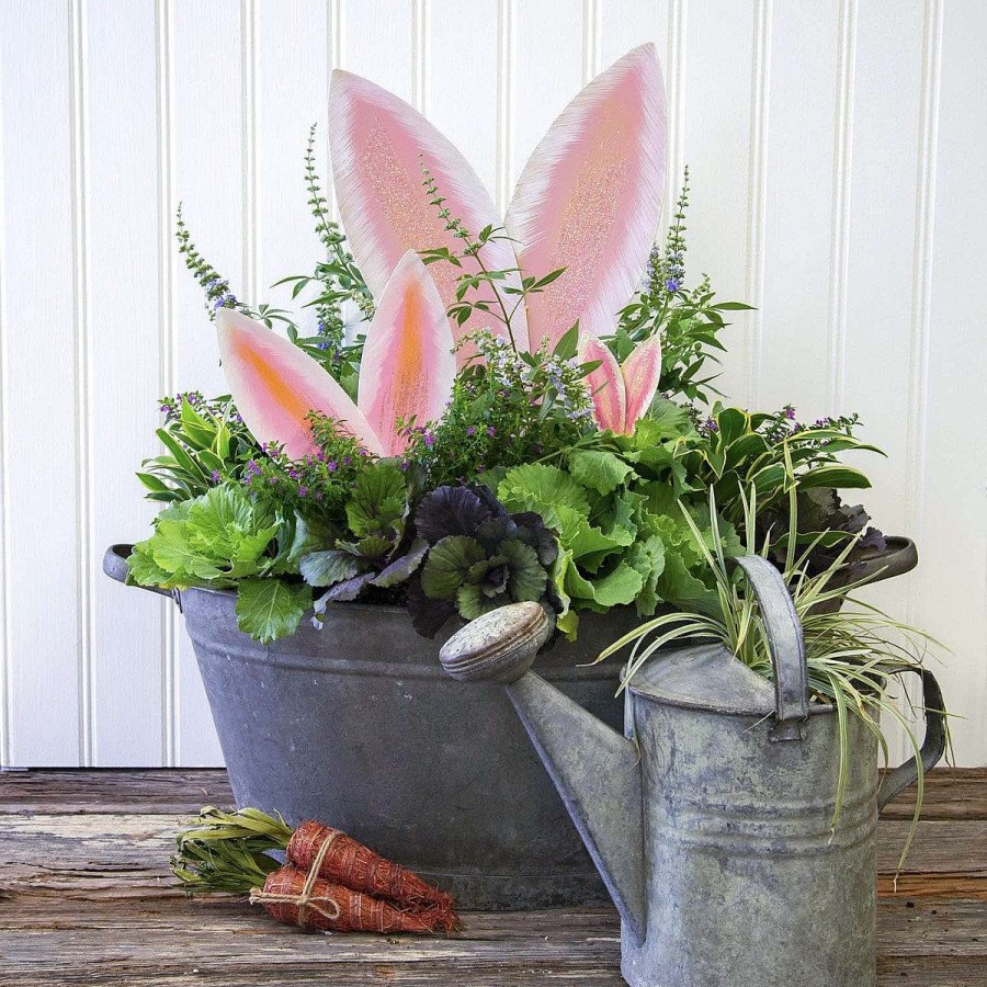 The Round Top Collection Pot Stakes | Bunny Ears, Medium