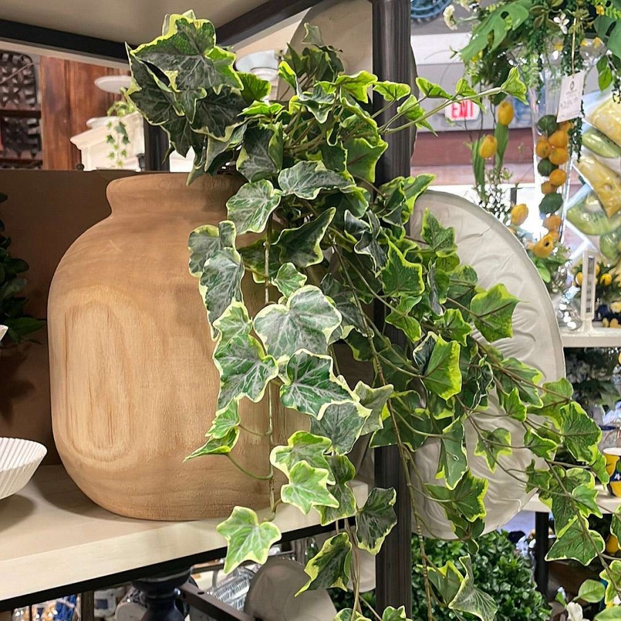 CRI Greenery | Hanging Ivy Varigated, 28"