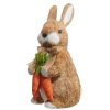 RAZ Focal Points | Bunny With Carrots