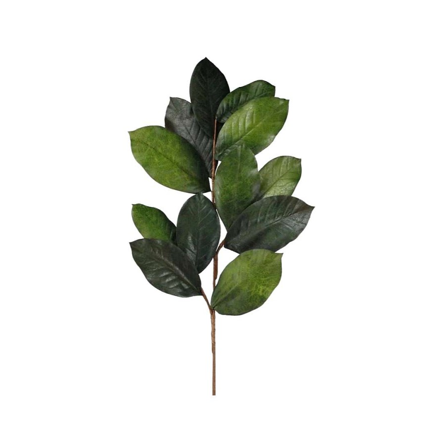 Craig Bachman Floral Decor | Magnolia Leaf Spray