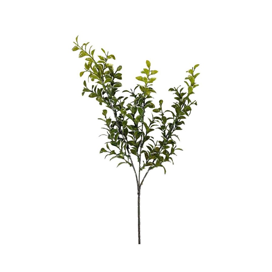 CRI Floral Decor | Privet Leaf Spring Green 27"