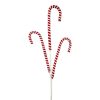 Liberty Floral Floral | Chenille Peppermint Candy Cane Spray