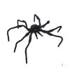 180 Degrees Focal Points | Fabric Spider