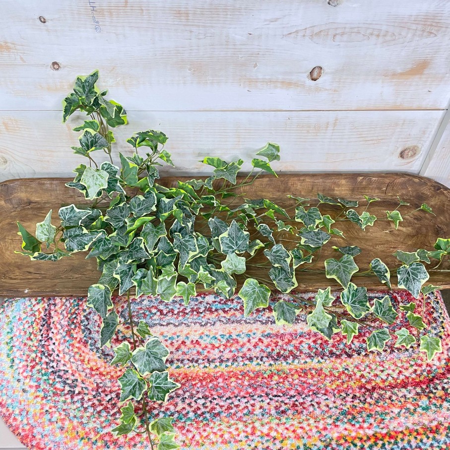 CRI Faux Plants | Hanging Ivy Varigated, 28"