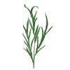 Regency Sprays | Green Glitter Blade Grass Spray