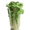 RAZ Kitchen & Dining | Green Cabbage Vase, 12.5"