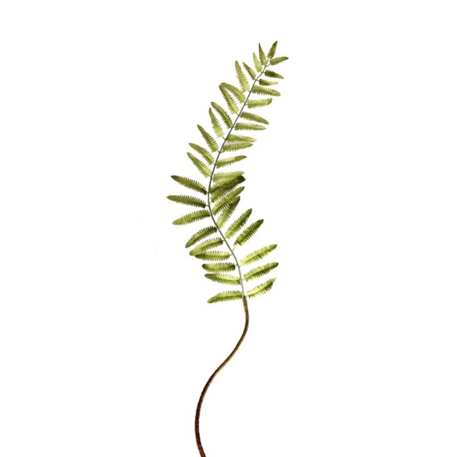 Regency Floral Decor | Narrow Fern Frond 48"