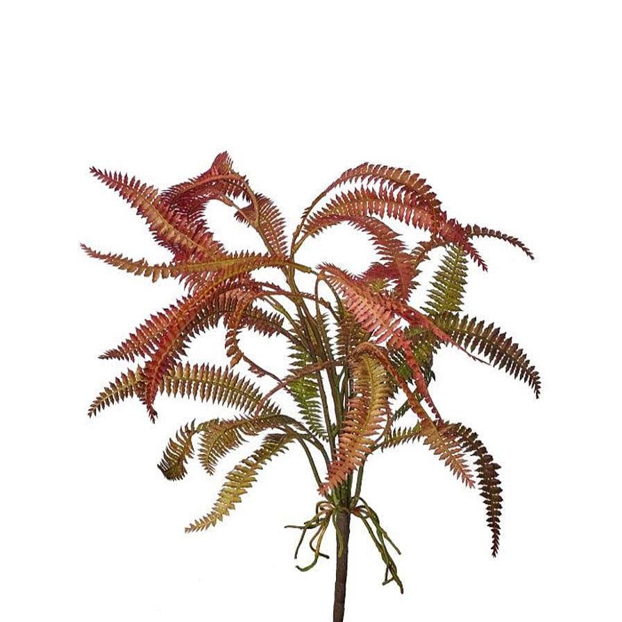 Regency Sprays | Rose Green Feather Fern Plant