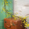 CRI Wall Decor | Yellow Forsythia Garland 6'