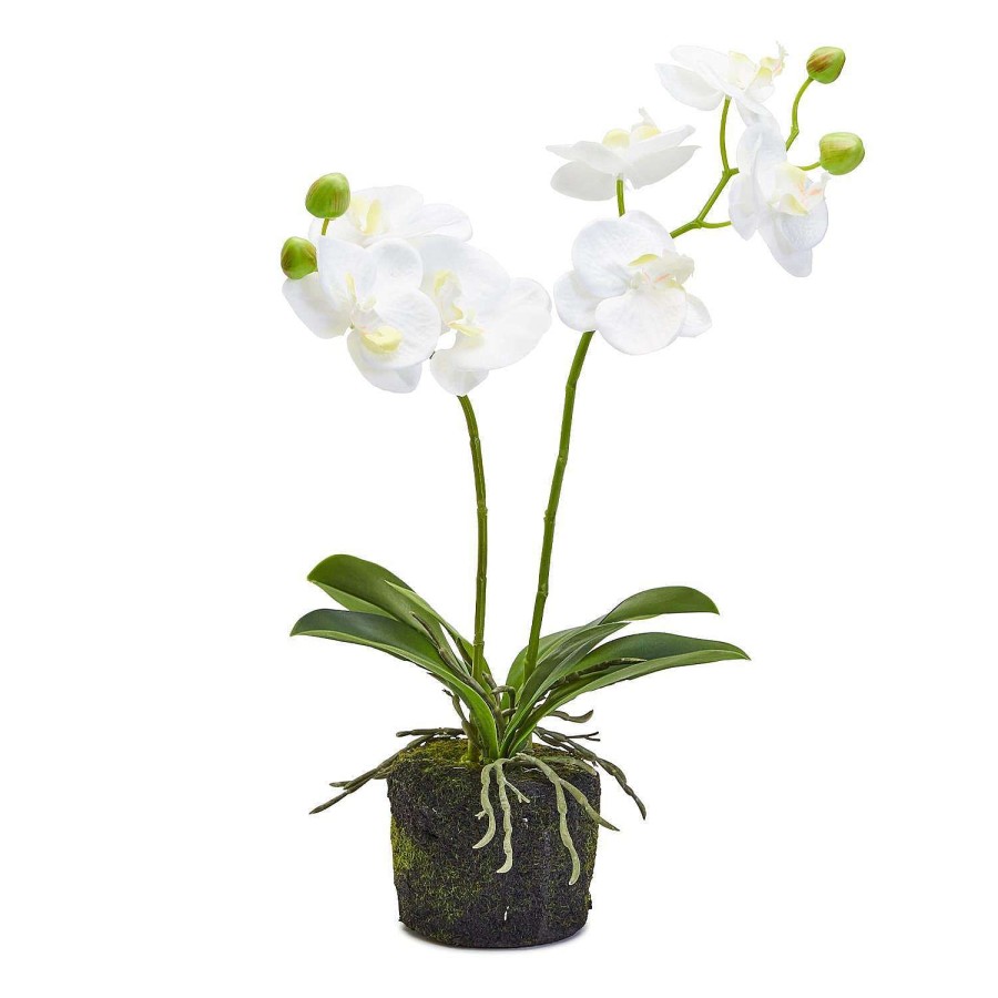 Two's Company Table Decor | White Butterfly Orchid