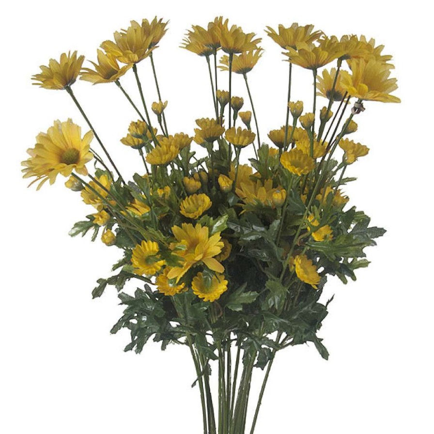 CRI Floral Decor | Daisy Bundle