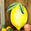 Craig Bachman Focal Points | Embossed Watercolor Lemon