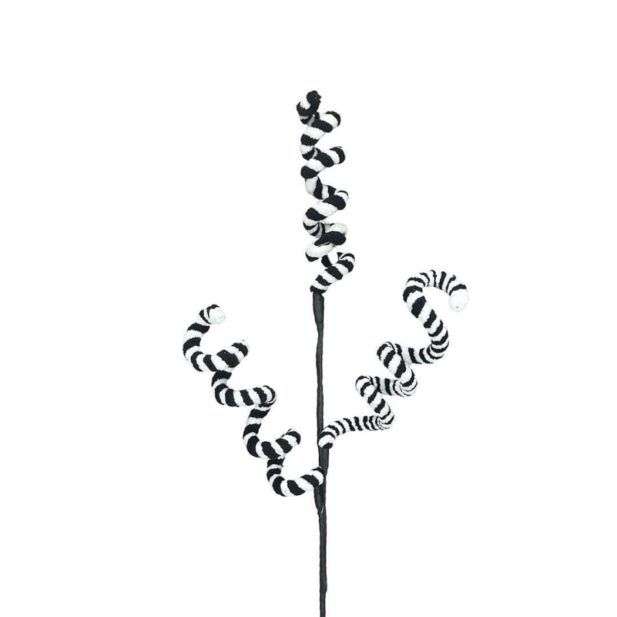 Craig Bachman Floral | Swirl Branch Spray Black And White