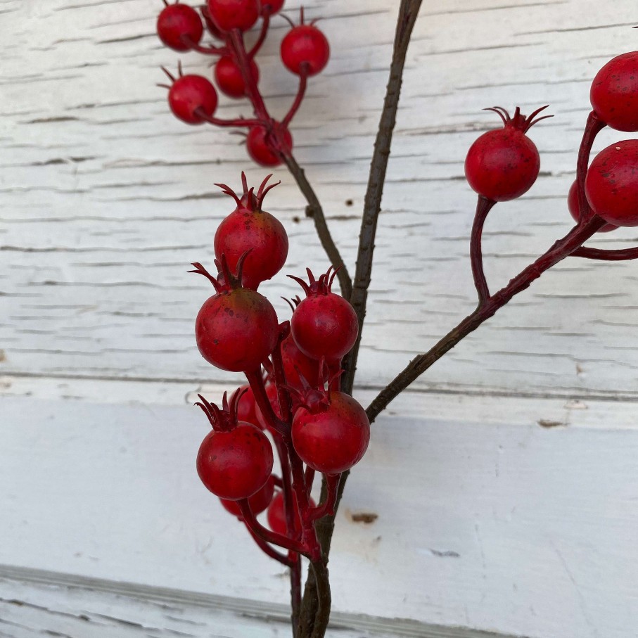 Regency Floral Decor | Harvest Crabapple Spray