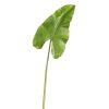 RAZ Floral | Real Touch Caladium Leaf Stem, 36"