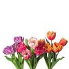 CRI Spring | Purple Tulip Bundle, 27"