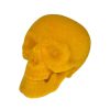 180 Degrees Focal Points | Flocked Skull