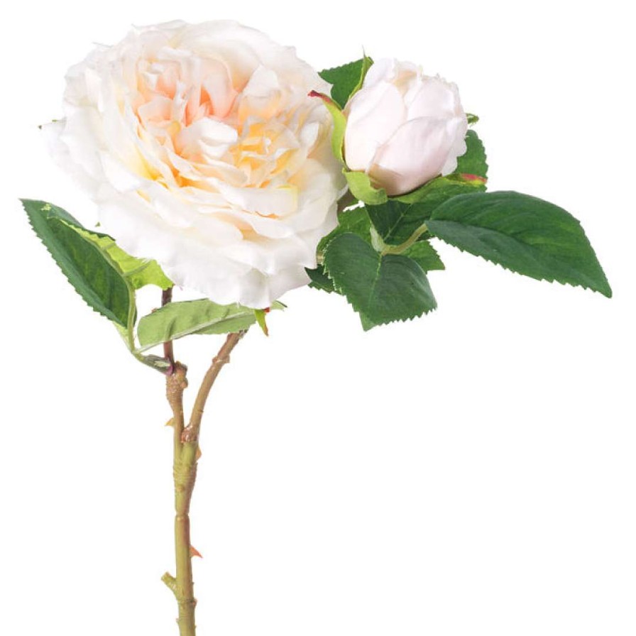 CRI Floral Decor | Cabbage Rose Pick, Cream