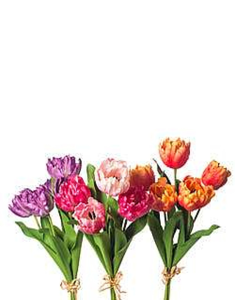 CRI Floral | Purple Tulip Bundle, 27"